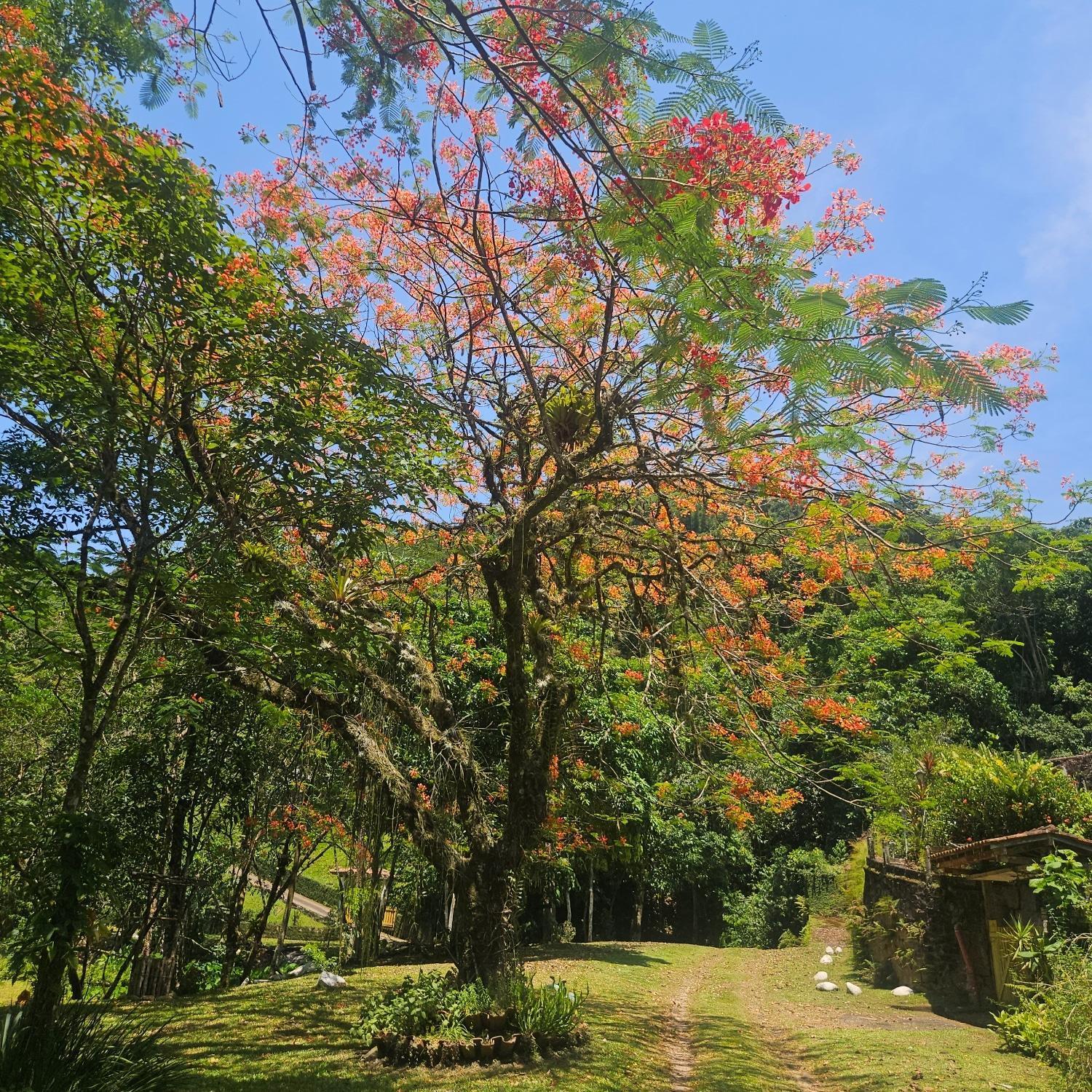 Sitio Cristo Redentor Villa Guapimirim Eksteriør billede